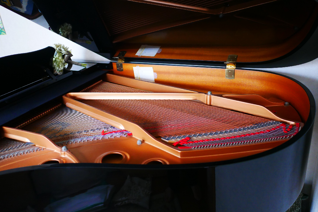 ぽーこの会ピアノ教室の講師紹介